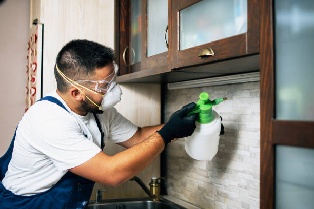 Professional Pest Control in Clovis, CA