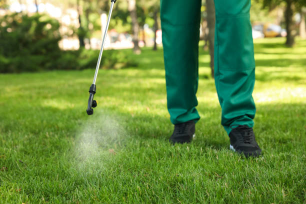 Best Mosquito Control Services  in Clovis, CA