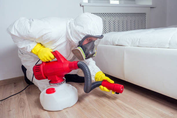 Best Rat Extermination Near Me  in Clovis, CA
