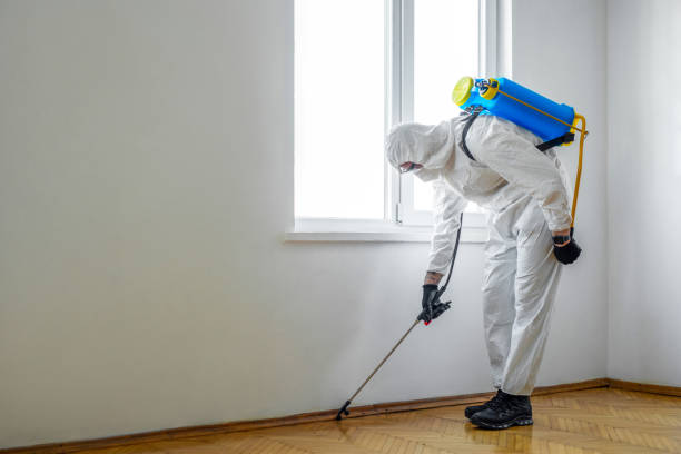 Best Rat Extermination Near Me  in Clovis, CA