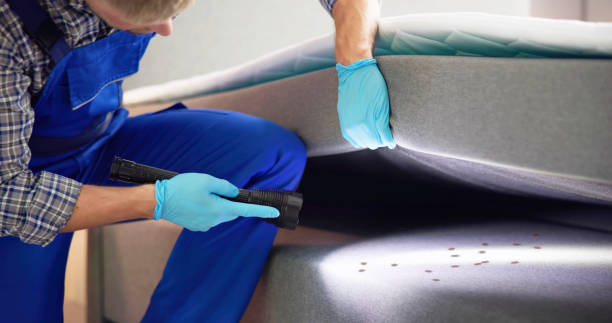 Best Cockroach Control Services  in Clovis, CA