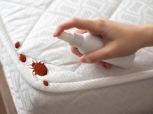Best Best Pest Control Near Me  in Clovis, CA