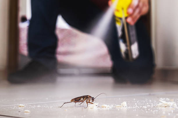 Best Commercial Pest Control Services  in Clovis, CA