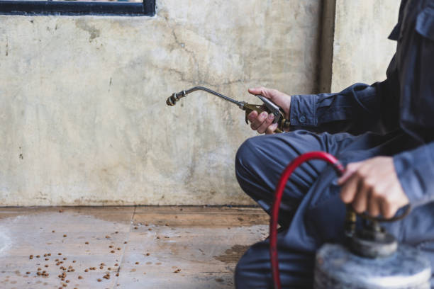 Best Wasp Removal Services  in Clovis, CA