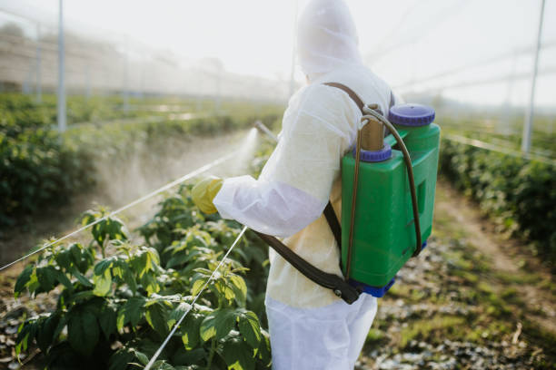 Best Flea Control Services  in Clovis, CA